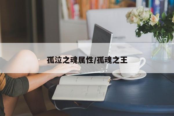 孤泣之魂属性／孤魂之王