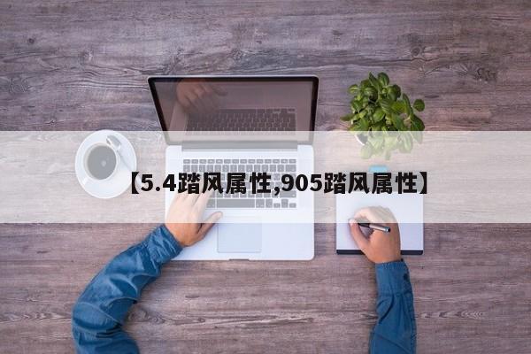 【5.4踏风属性,905踏风属性】