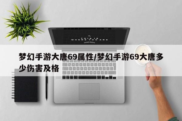 梦幻手游大唐69属性／梦幻手游69大唐多少伤害及格