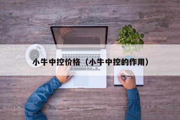 小牛中控价格（小牛中控的作用）
