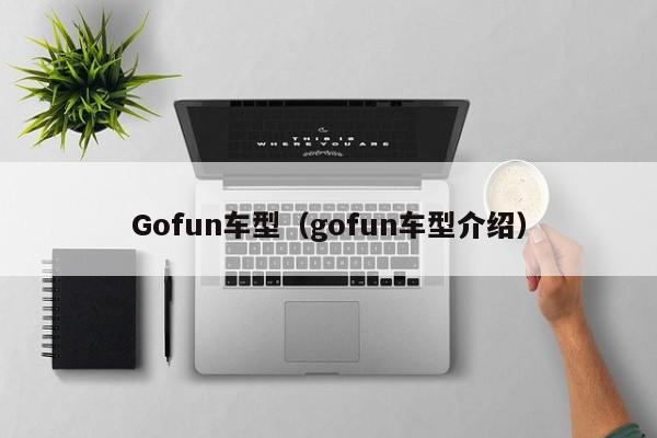 Gofun车型（gofun车型介绍）