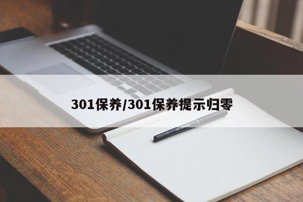 301保养／301保养提示归零