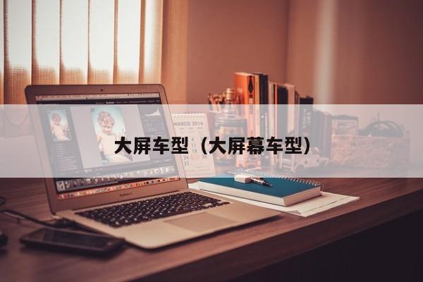 大屏车型（大屏幕车型）